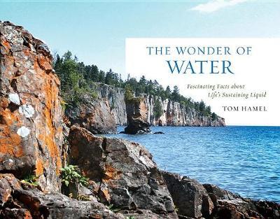 The Wonder of Water by Tom Hamel image