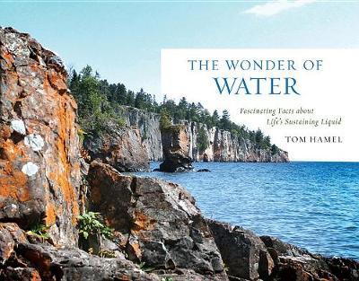 The Wonder of Water image