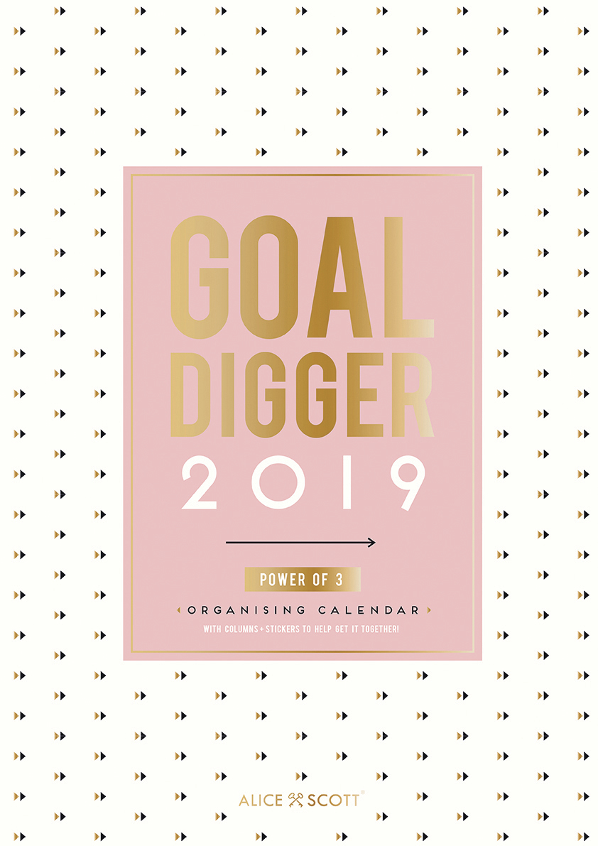 Alice Scott: Goal Digger A3 2019 Wall Calendar image