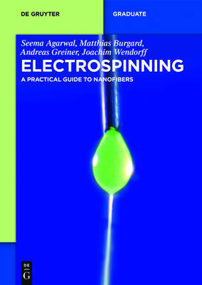 Electrospinning by Seema Agarwal image