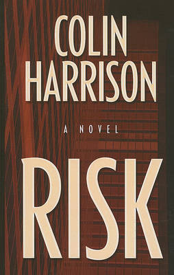 Risk on Hardback by Colin Harrison