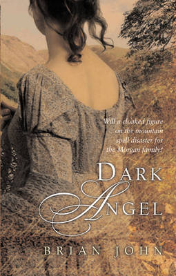 Dark Angel on Paperback by Brian John