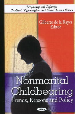 Non-Marital Childbearing image