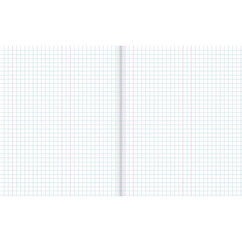 Warwick Exercise Book 1E5 36 Leaf With Margin Quad 7MM 255X205MM image