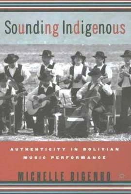 Sounding Indigenous by Michelle Bigenho image