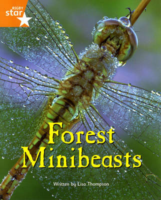 Fantastic Forest Orange Level Non-Fiction: Forest Minibeasts by Lisa Thompson image
