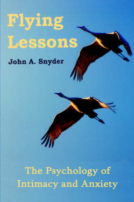 Flying Lessons by John A Snyder image