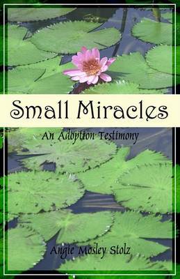 Small Miracles by Angie Mosley Stolz image