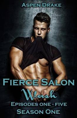 Fierce Salon Season One Collection: Episodes One - Five by Aspen Drake image
