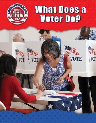 What Does a Voter Do? by Bridey Heing image