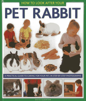 How to Look After Your Pet Rabbit on Hardback by David Alderton