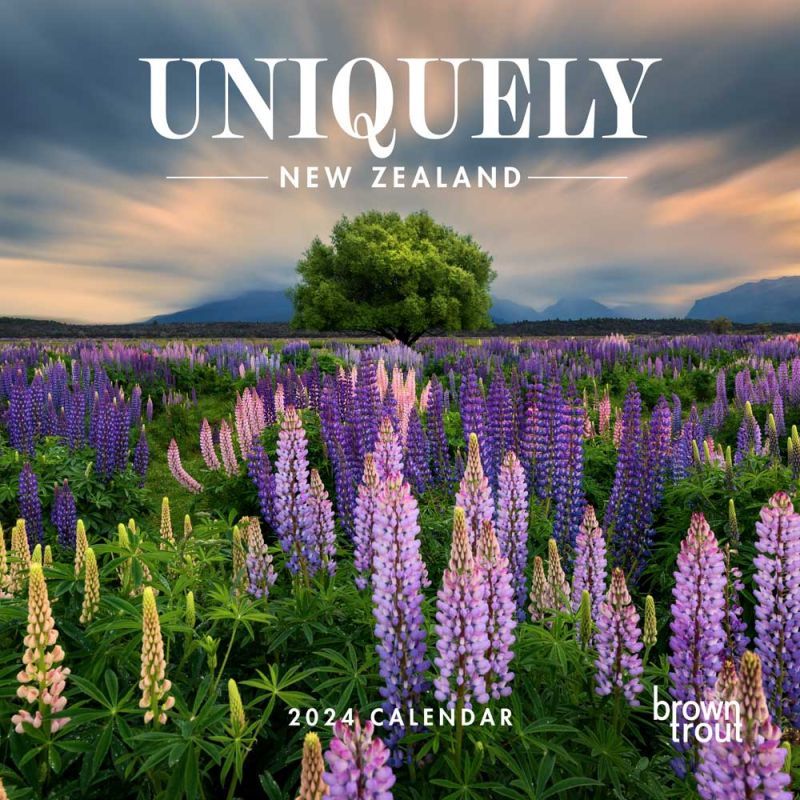 Buy Uniquely New Zealand 2024 Horizontal Wall Calendar at Mighty Ape NZ
