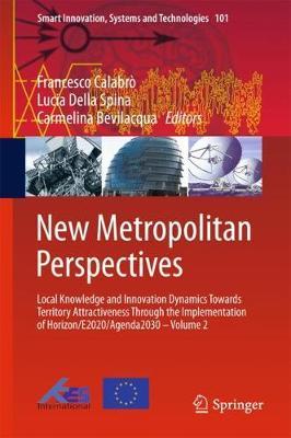 New Metropolitan Perspectives image