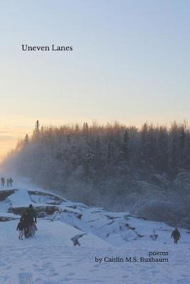 Uneven Lanes by Caitlin M S Buxbaum image