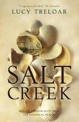 Salt Creek by Lucy Treloar image