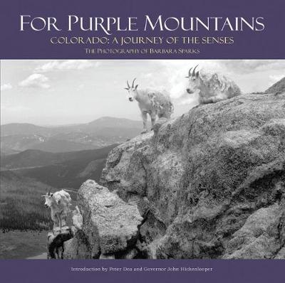 For Purple Mountains on Hardback by Barbara Sparks