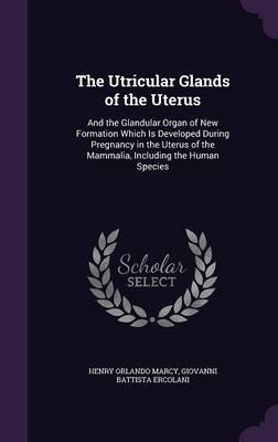 The Utricular Glands of the Uterus by Henry Orlando Marcy image