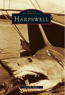 Harpswell by Joyce K Bibber image