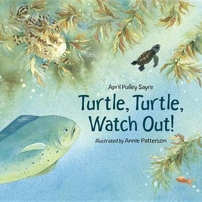 Turtle, Turtle, Watch Out! on Hardback by April Pulley Sayre