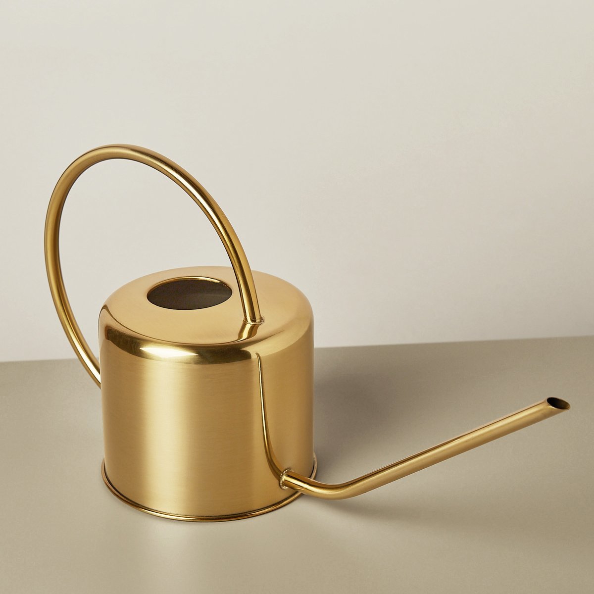 Brass Stainless Steel Watering Can Indoor Plants at Mighty Ape NZ