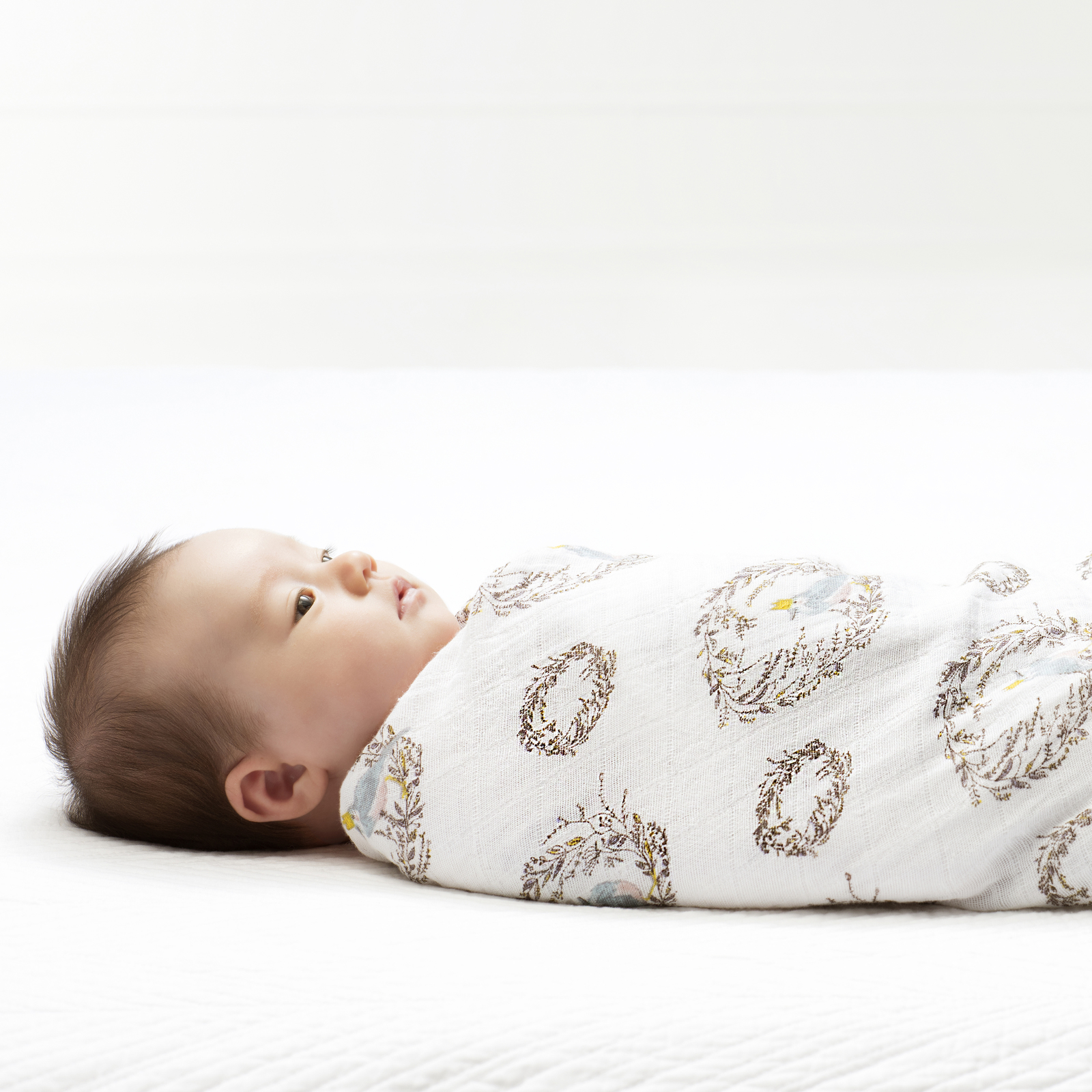 Aden + Anais: Classic Swaddle - Birdsong (4 Pack Swaddling Wraps) image