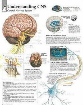 Understanding CNS image