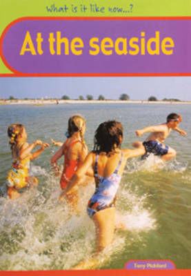 Seaside Big Book by Angela Royston image