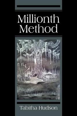 Millionth Method by Tabitha Hudson image