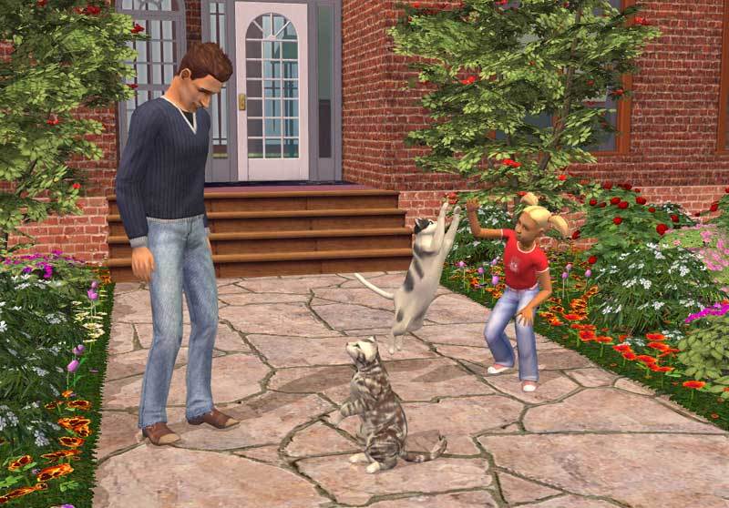 The Sims 2: Pets Expansion Pack DVD on PC