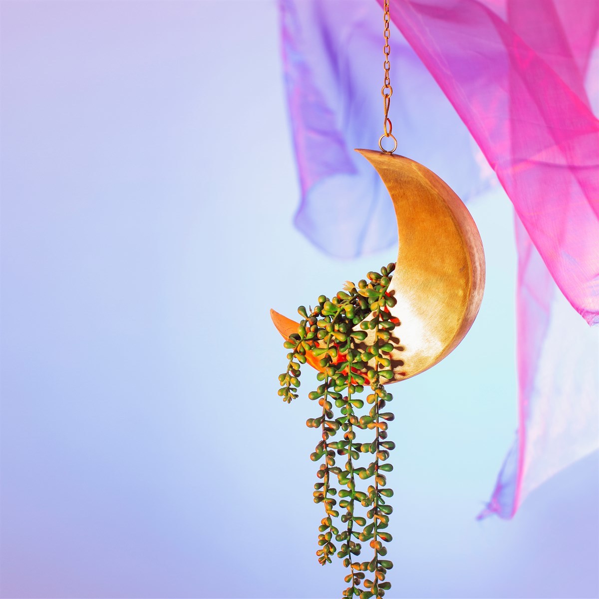 Sass & Belle: Celestial Moon Hanging Planter image