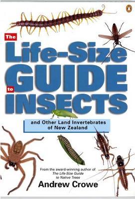 The Life-Size Guide to Insects and Other Land Invertebrates of New Zealand by Andrew Crowe image