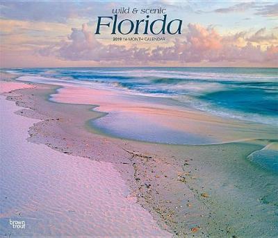 Florida Wild & Scenic 2019 Deluxe by Inc Browntrout Publishers image