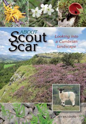 About Scout Scar by Jan Wiltshire image