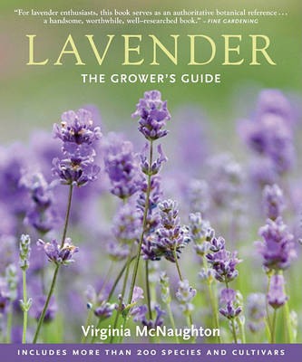 Lavender by Virginia McNaughton image