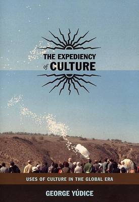The Expediency of Culture by George Yudice image