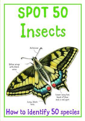 Spot 50 - Insects by Camilla de la Bedoyere image