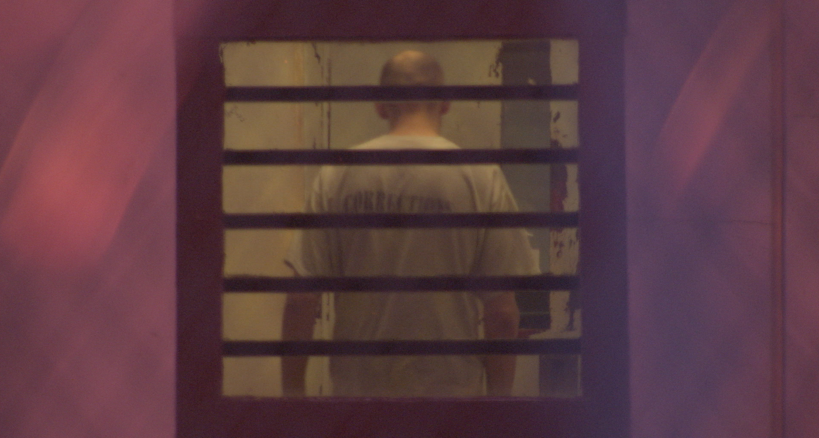 The House I Live In on DVD image