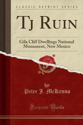 Tj Ruin by Peter J. McKenna image