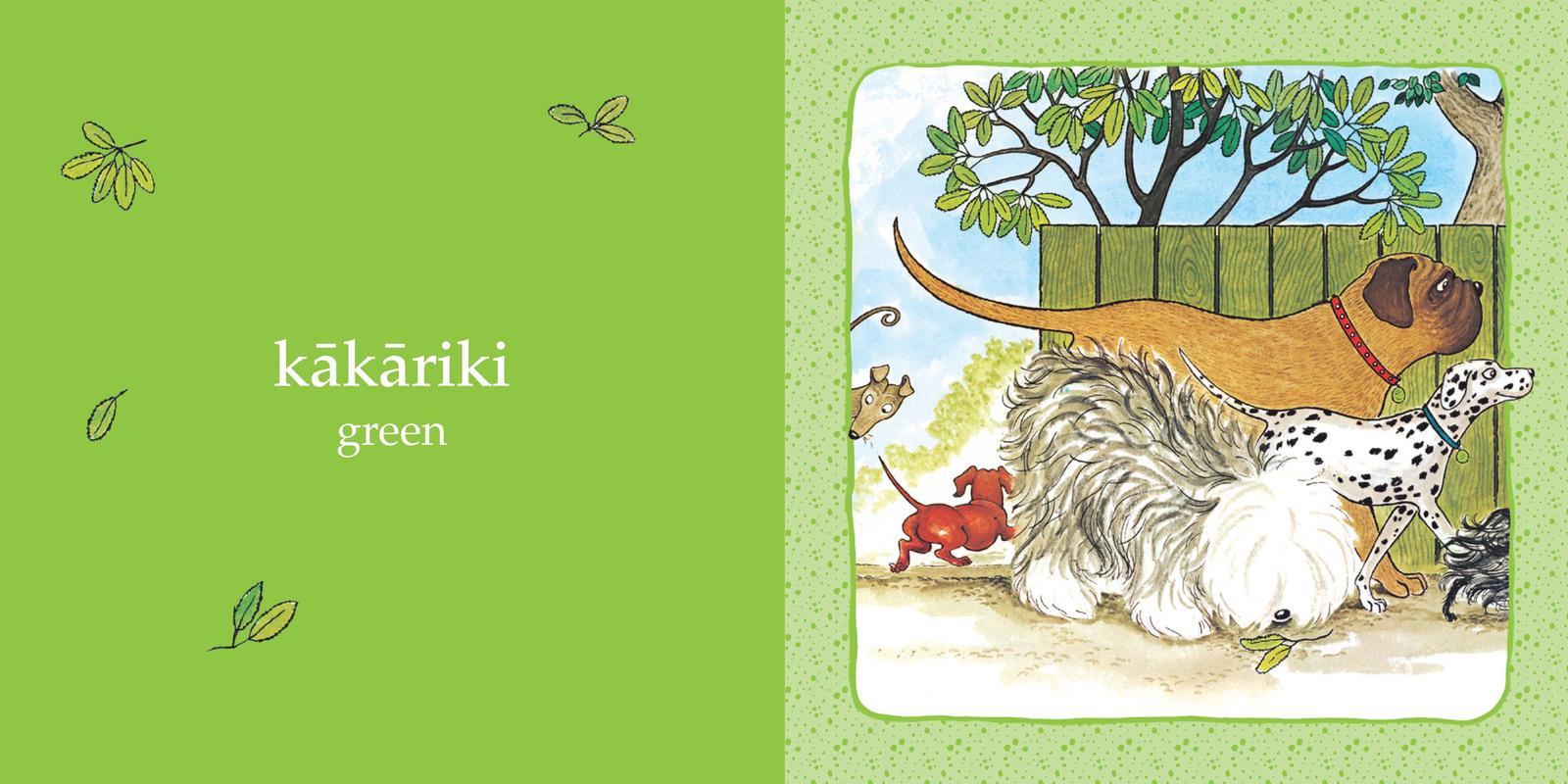 Hairy Maclary and Friends: Colours in Maori and English by Lynley Dodd image