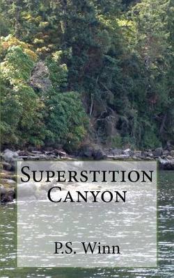 Superstition Canyon by P S Winn image
