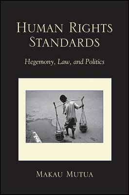 Human Rights Standards by Makau Mutua image