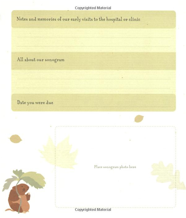 Peter Rabbit Baby Book: Naturally Better Edition by Beatrix Potter image