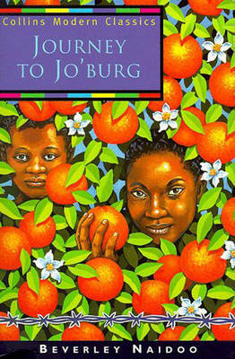 Journey to Jo'burg: A South African Story by Beverley Naidoo image
