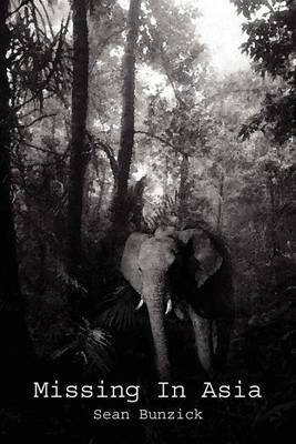 Missing in Asia by Sean Bunzick image