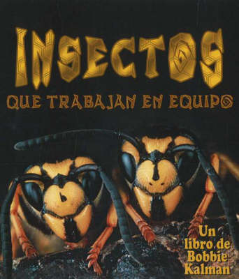 Insectos Que Trabajan En Equipo (Insects That Work Together) by Bobbie Kalman image