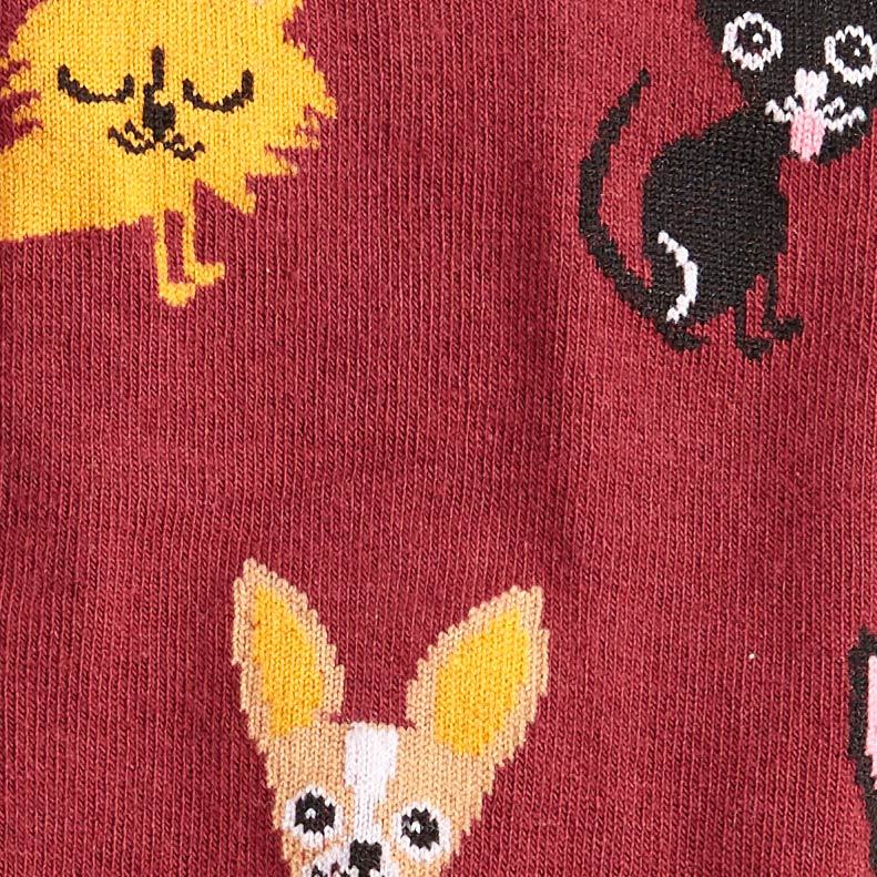 Women's - Chihuahua Knee High Socks image