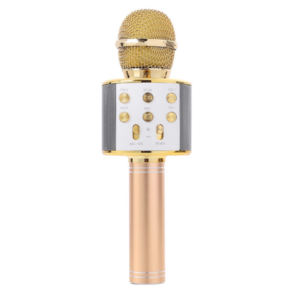 Karaoke Microphone with Bluetooth Speaker image