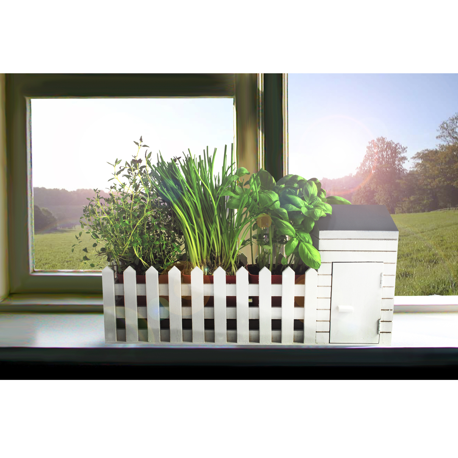 Indoor Allotment Gift Set