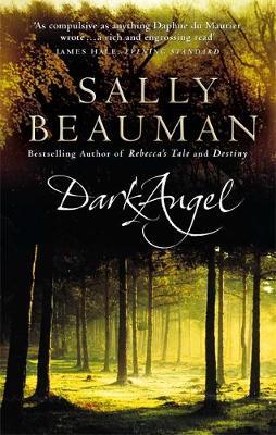 Dark Angel by Sally Beauman image