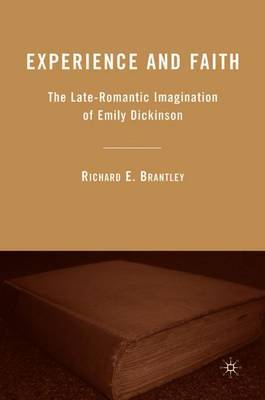 Experience and Faith by Richard E Brantley image